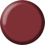 Gel Color Classic - C22